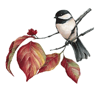 őszi állatok_1.gif